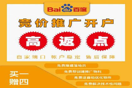 竞价推广策略：某电商平台的成功之路